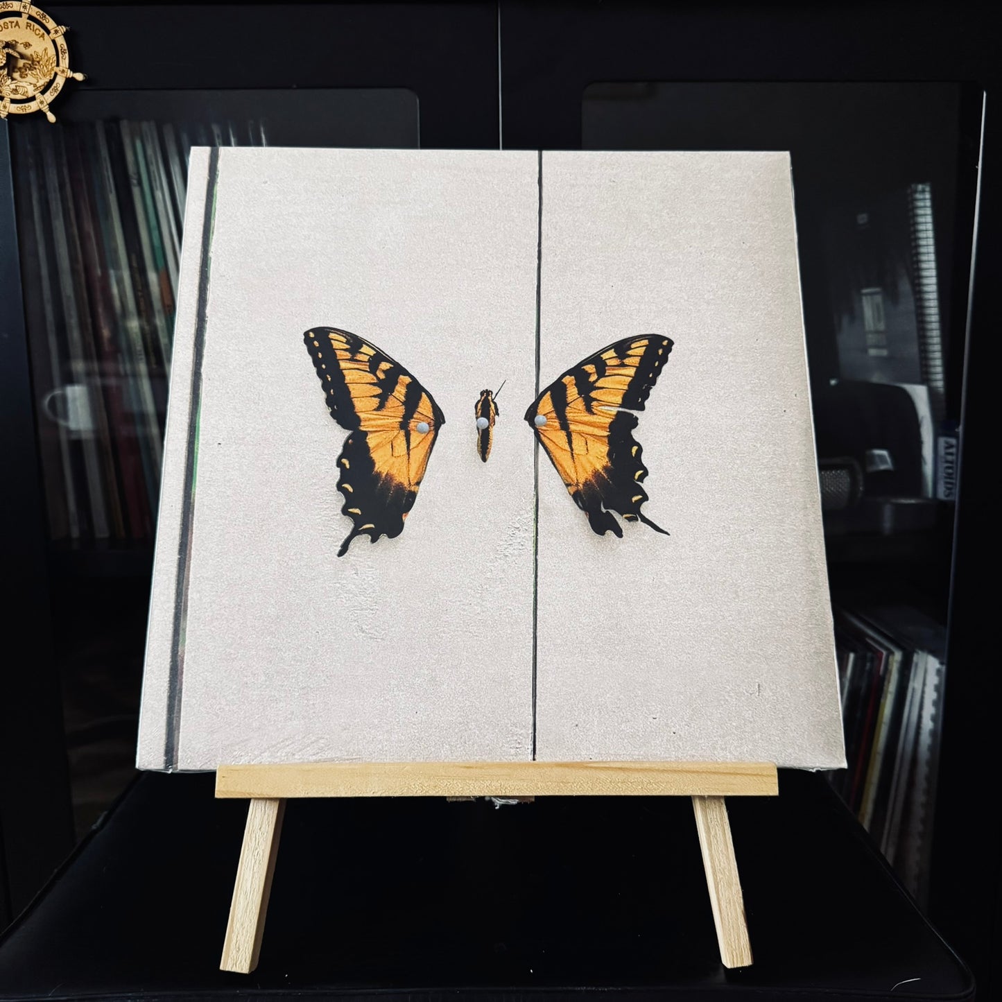 Paramore – Brand New Eyes