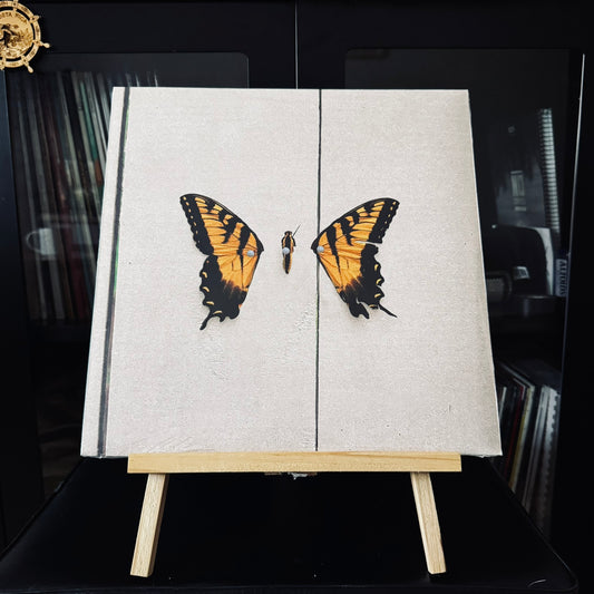 Paramore – Brand New Eyes